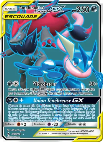 Amphinobi et Zoroark GX · 200