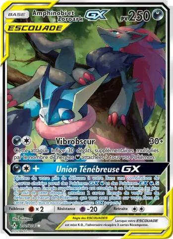 Amphinobi et Zoroark GX · 201