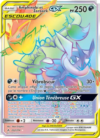 Amphinobi et Zoroark GX · 222
