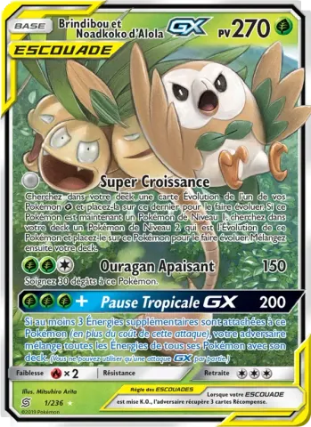 Brindibou et Noadkoko d’Alola GX · 1