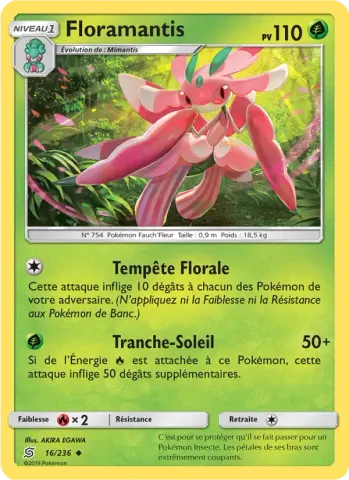 Floramantis · 16