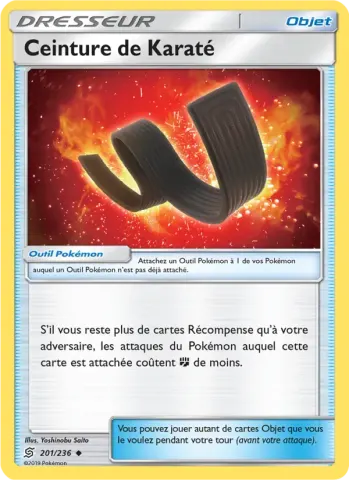 Ceinture de Karaté · 201