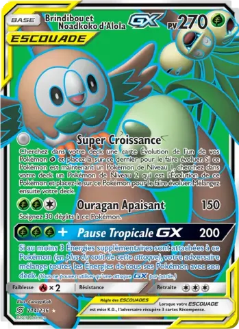 Brindibou et Noadkoko d’Alola GX · 214
