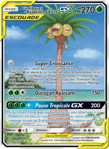 Brindibou et Noadkoko d’Alola GX · 215