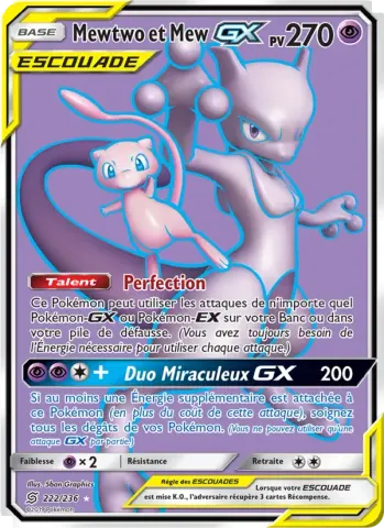 Mewtwo et Mew GX · 222