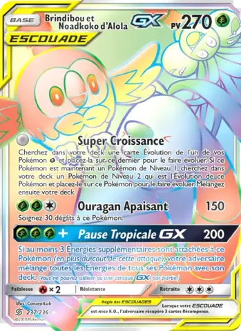 Brindibou et Noadkoko d’Alola GX · 237