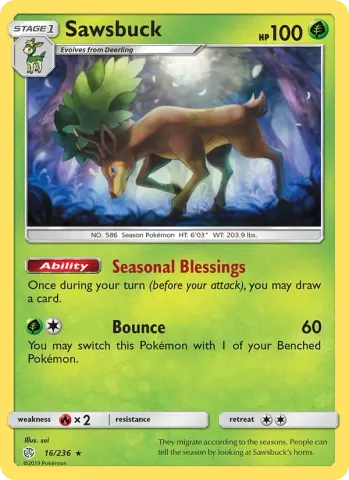 Sawsbuck · 16