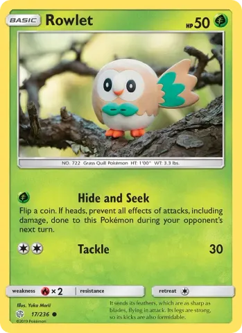 Rowlet · 17