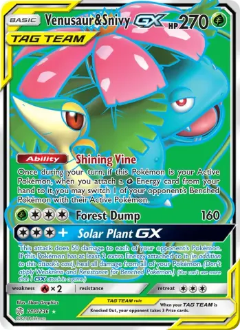 Venusaur & Snivy GX · 210