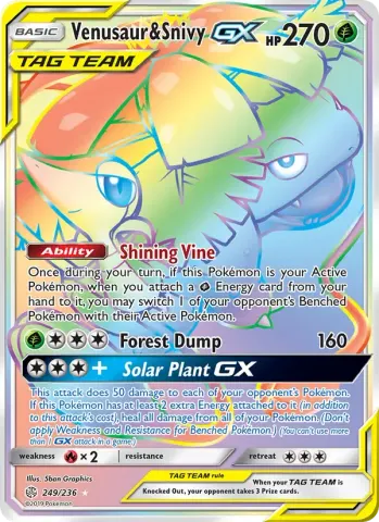 Venusaur & Snivy GX · 249