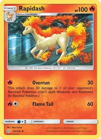 Rapidash · 24