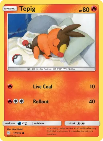 Tepig · 31