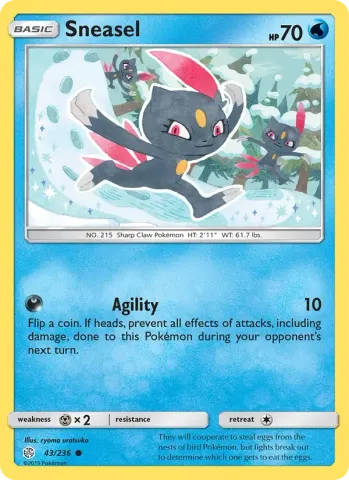 Sneasel · 43