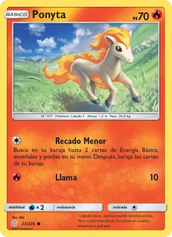 Ponyta · 23