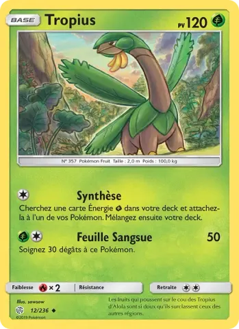 Tropius · 12