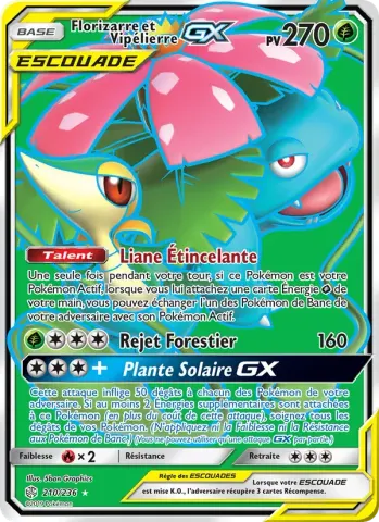 Florizarre et Vipélierre GX · 210