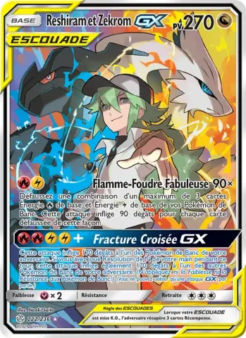 Reshiram et Zekrom GX · 222