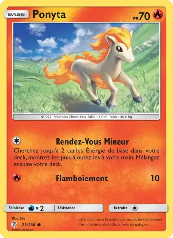 Ponyta · 23