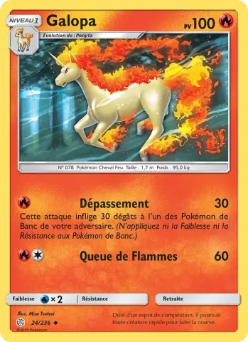 Galopa · 24