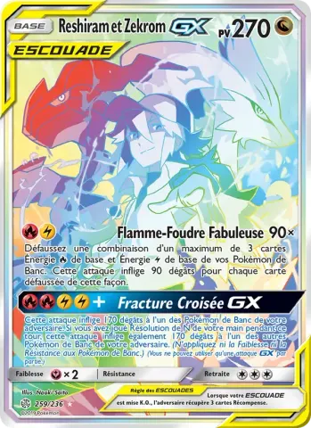 Reshiram et Zekrom GX · 259