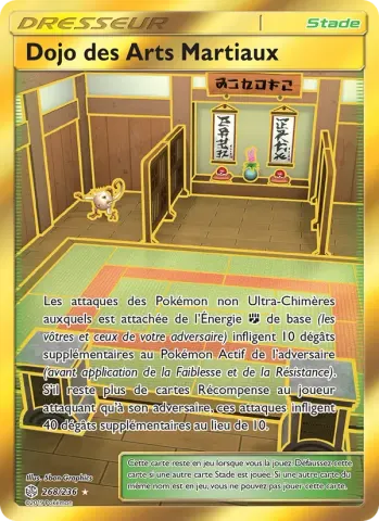 Dojo des Arts Martiaux · 268