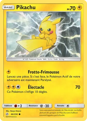 Pikachu · 66