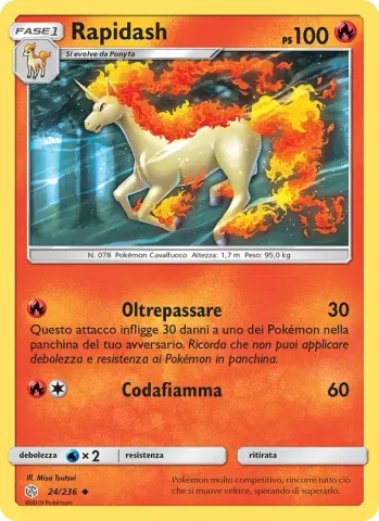Rapidash · 24