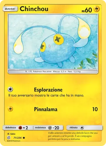 Chinchou · 71