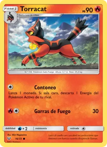 Torracat · 16