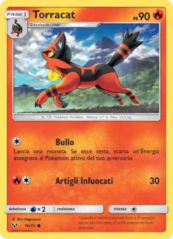 Torracat · 16