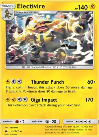 Electivire · 43