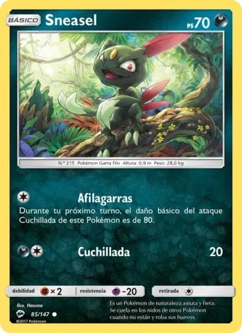 Sneasel · 85