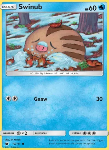 Swinub · 19