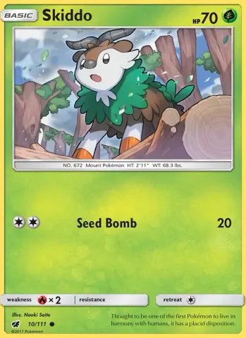 Skiddo · 10
