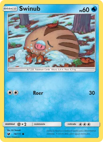 Swinub · 19