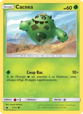 Cacnea · 5