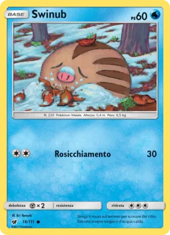 Swinub · 19