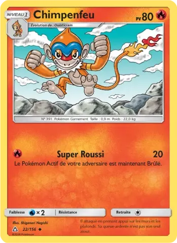 Chimpenfeu · 22