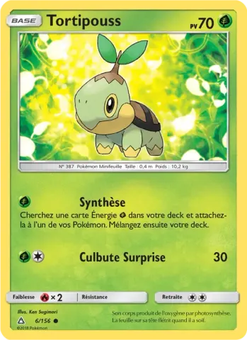Tortipouss · 6