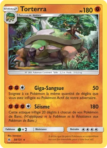 Torterra · 58