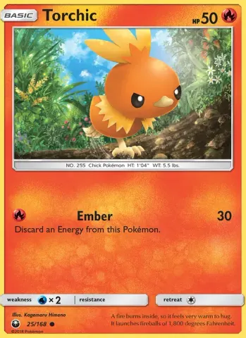 Torchic · 25