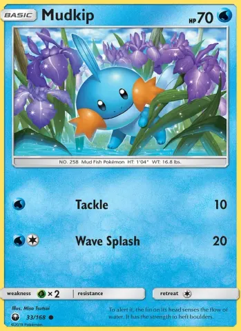 Mudkip · 33