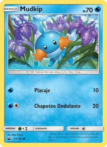 Mudkip · 33