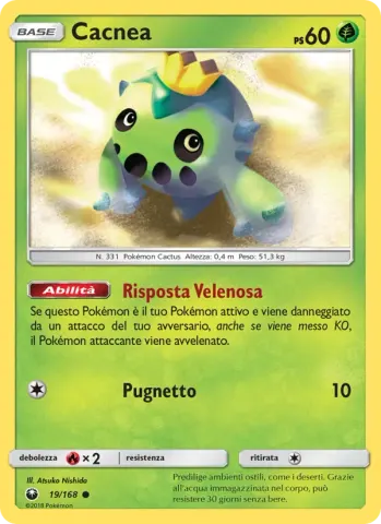 Cacnea · 19