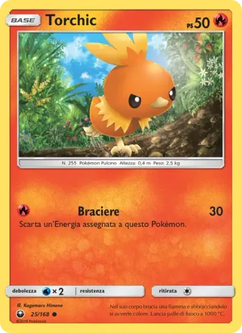 Torchic · 25