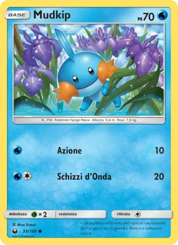 Mudkip · 33