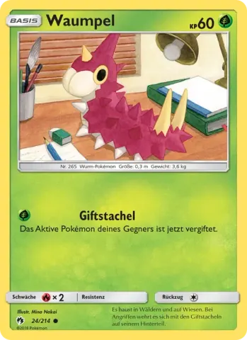 Waumpel · 24