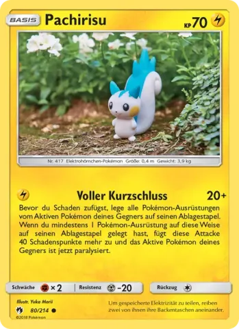 Pachirisu · 80