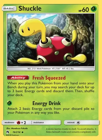 Shuckle · 16