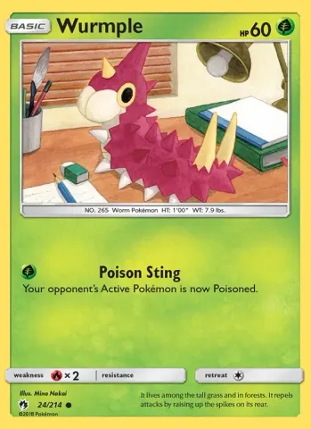 Wurmple · 24